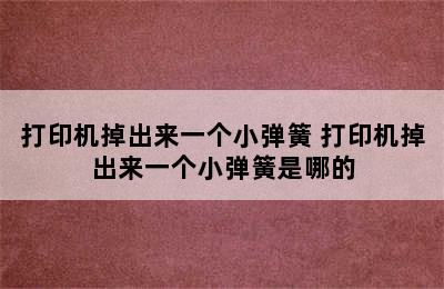 打印机掉出来一个小弹簧 打印机掉出来一个小弹簧是哪的